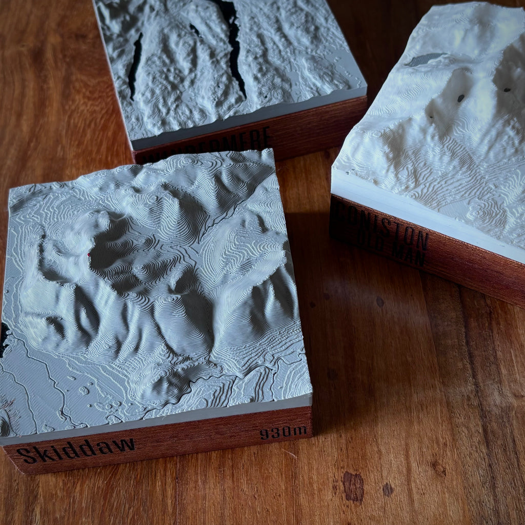 3D Map (Small)