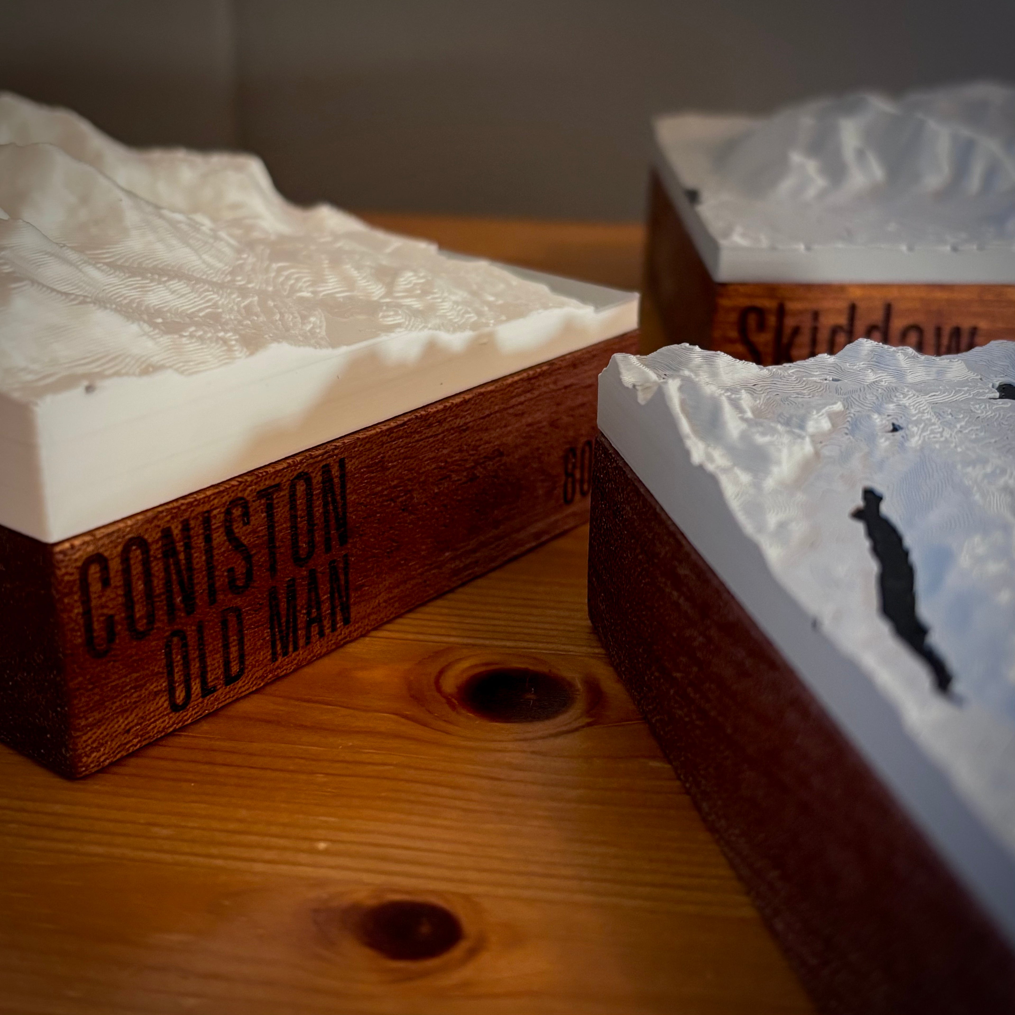 3D Map (Small)